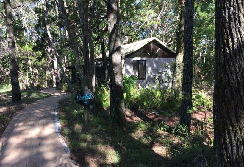 小室, Byron Bay Rainforest Resort