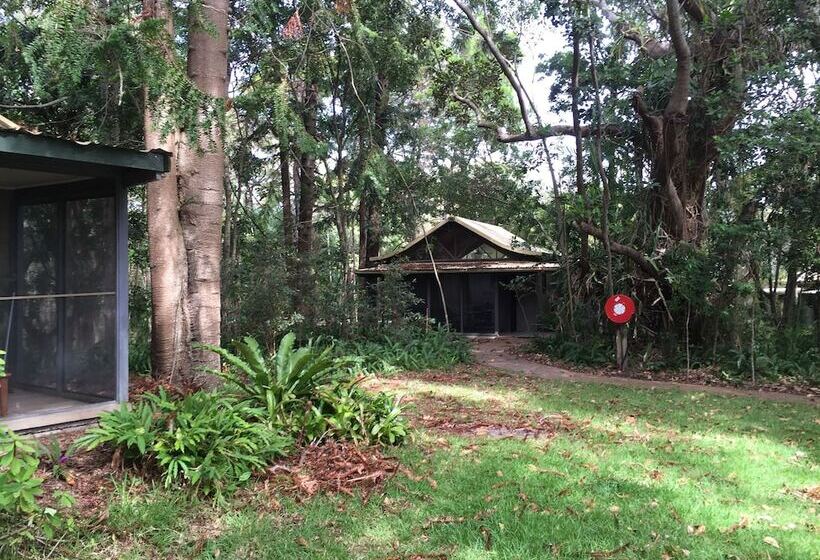 小室, Byron Bay Rainforest Resort