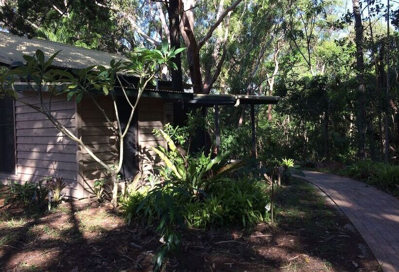 小室, Byron Bay Rainforest Resort