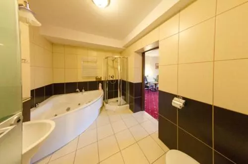 1ベッドルームアパートメント, Amadeus Hotel Zielona Góra