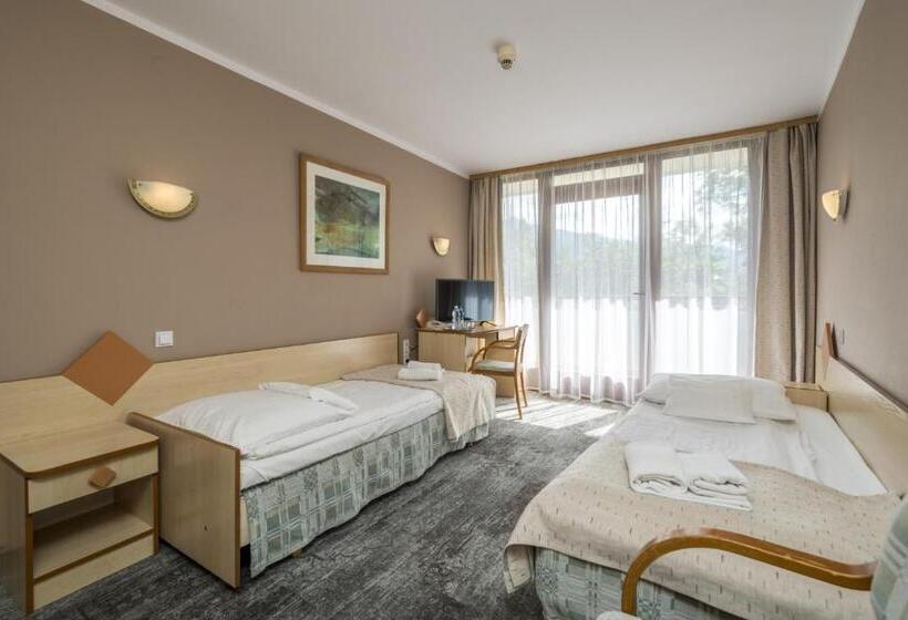 Студия Стандарт, Geovita Zakopane