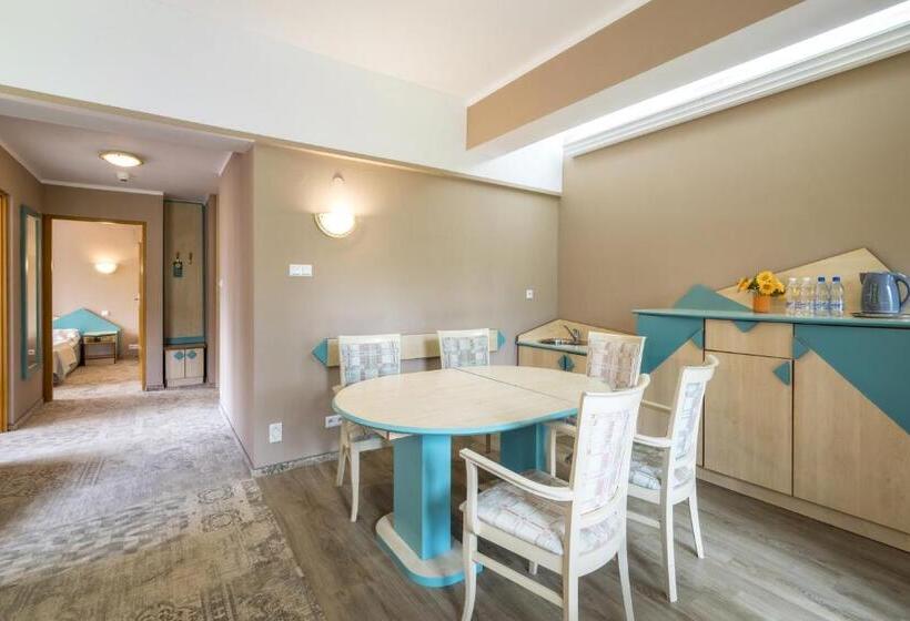 带2个卧室的公寓, Geovita Zakopane