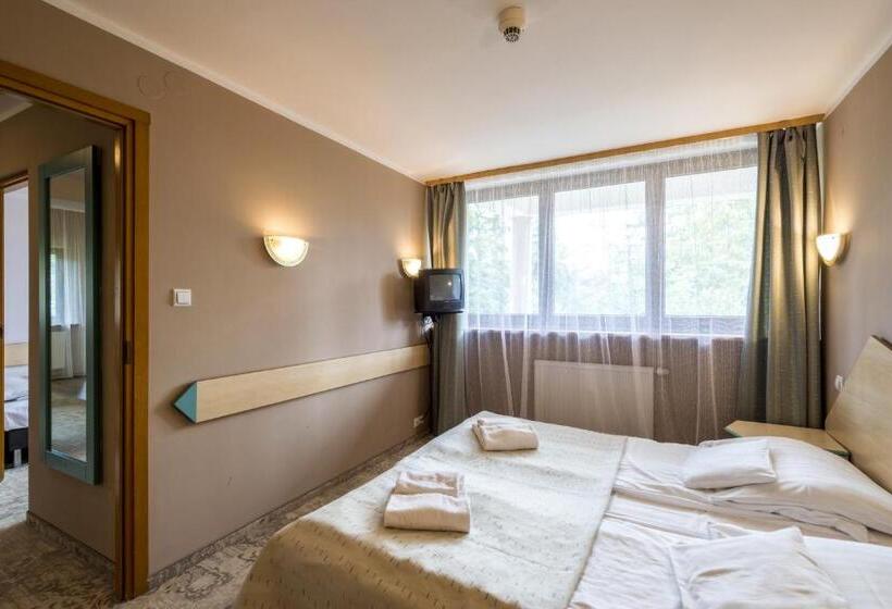 带2个卧室的公寓, Geovita Zakopane