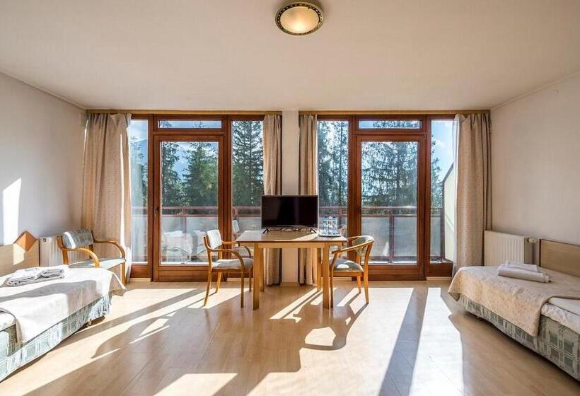 Трежместный Номер Economy, Geovita Zakopane