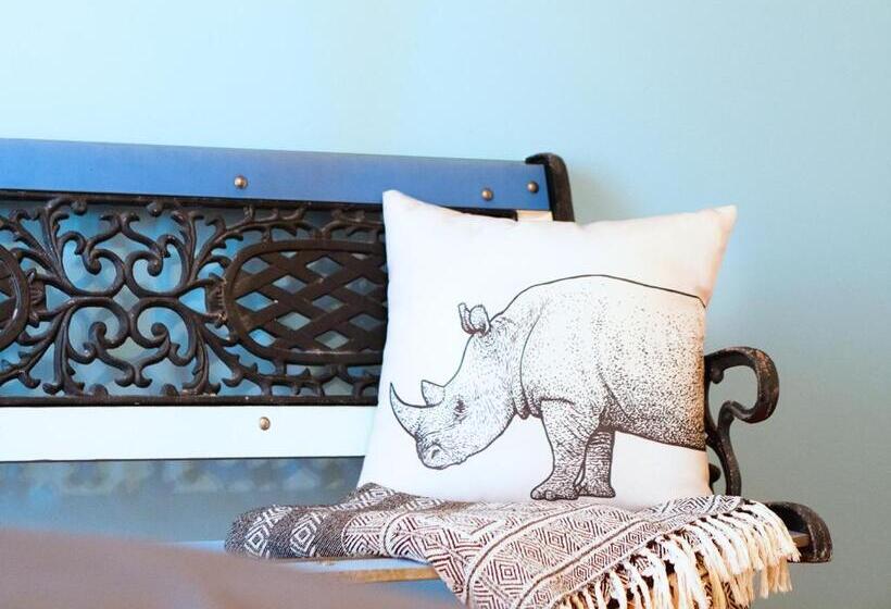 מיטה בחדר משותף, Ahoy Surf House