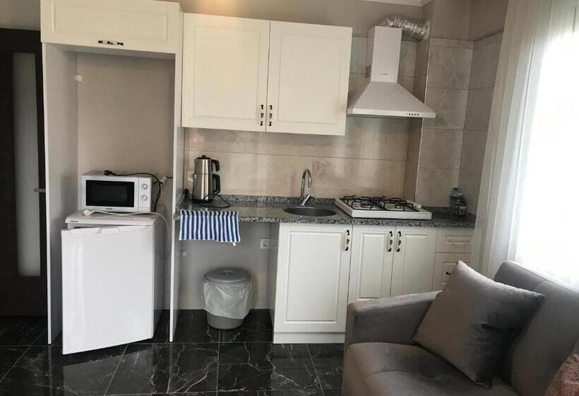 １ベッドルームアパートメント, Golden Lake Aparts