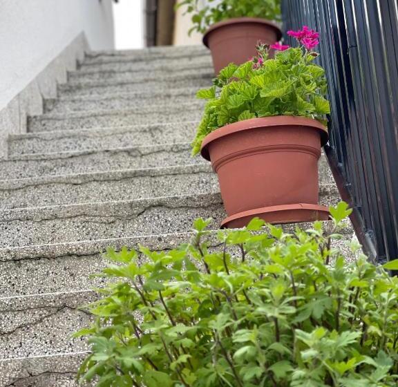 اتاق لوکس, Got Prishtina Hostel