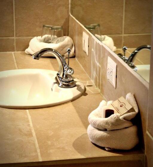 חדר דחוקס עם מיטת קינג, Luisiana