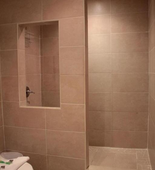 חדר דחוקס עם מיטת קינג, Luisiana