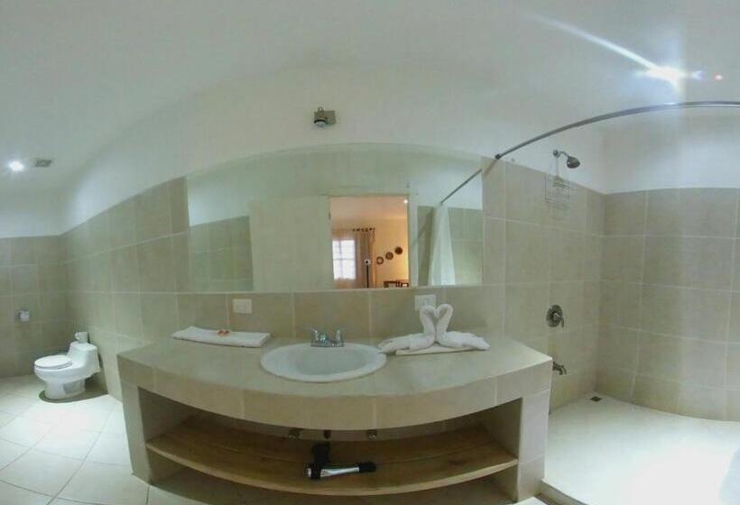 חדר סטנדרט, מיטת קינג, מותאם לאדם עם מוגבלויות, Luisiana