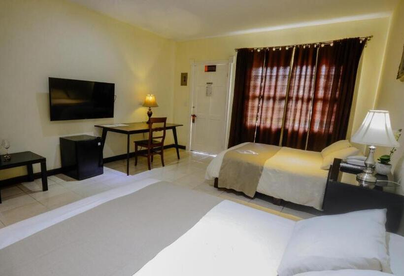 חדר סטנדרט מותאם לאדם עם מוגבלויות, Luisiana