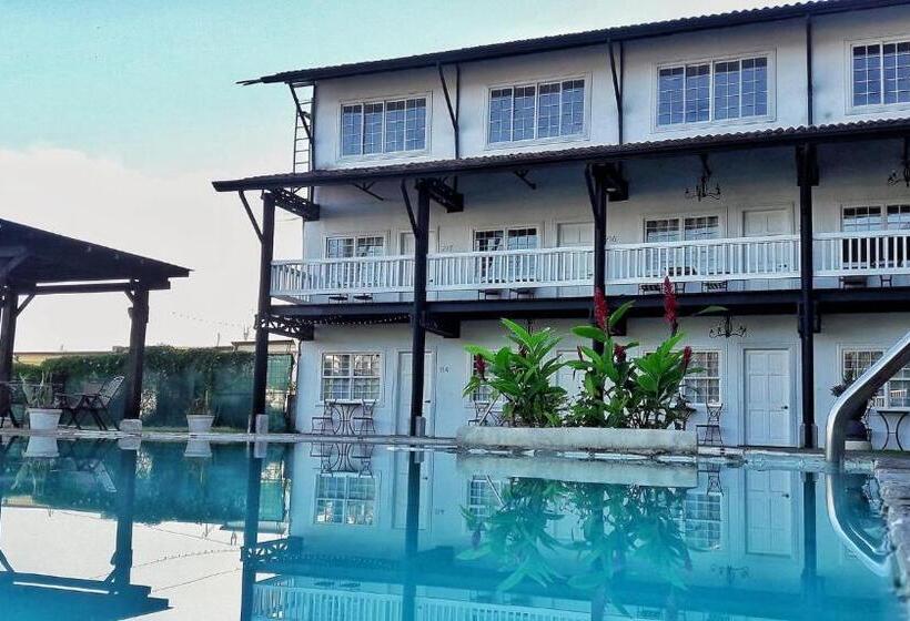 סוויטה, Luisiana