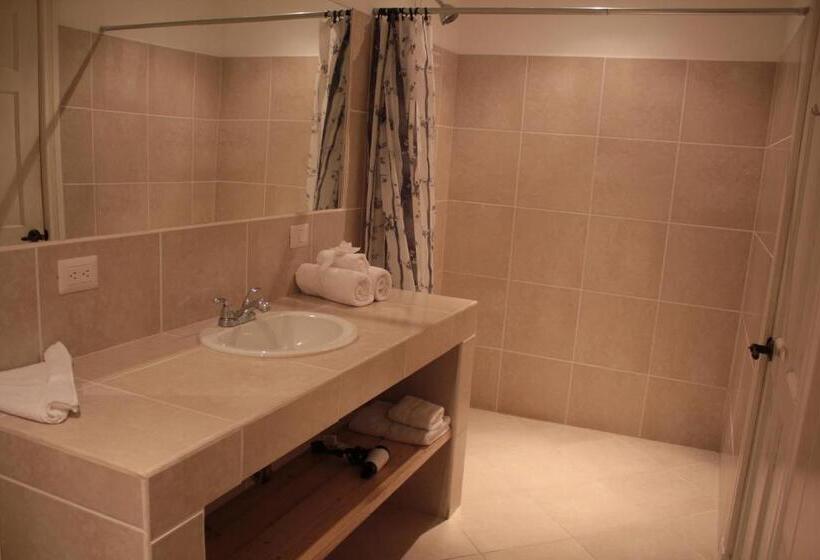 חדר סטנדרט מותאם לאדם עם מוגבלויות, Luisiana