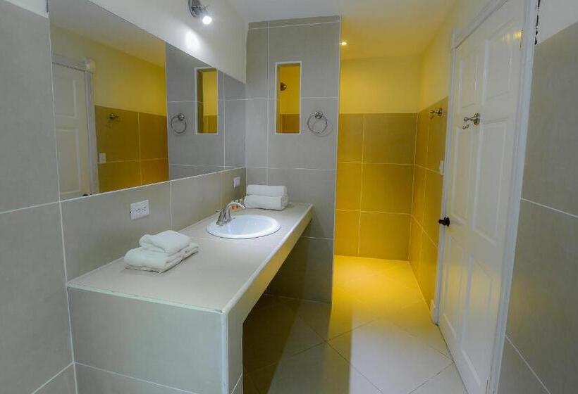 חדר סטנדרט מותאם לאדם עם מוגבלויות, Luisiana