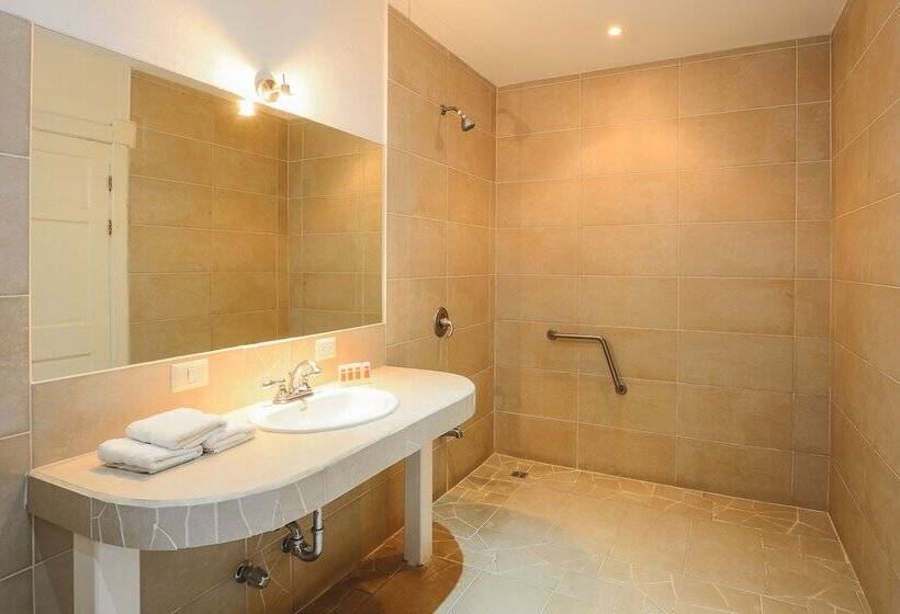 חדר סטנדרט, Luisiana