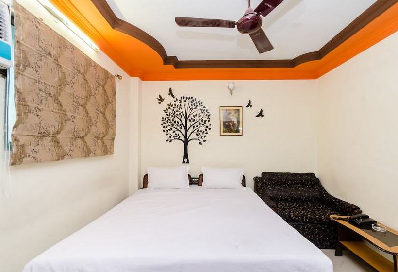 Quarto Estandar, Shila International