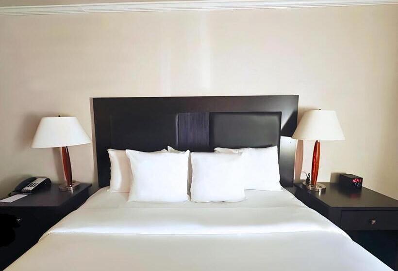스탠다드 룸 킹사이즈 침대, Quality Inn Fort Worth   Downtown East