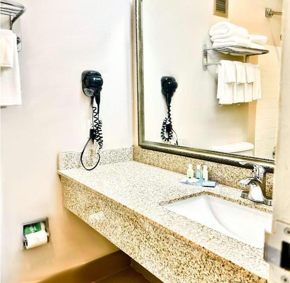 장애인을 위한 스탠다드 룸, Quality Inn Fort Worth   Downtown East
