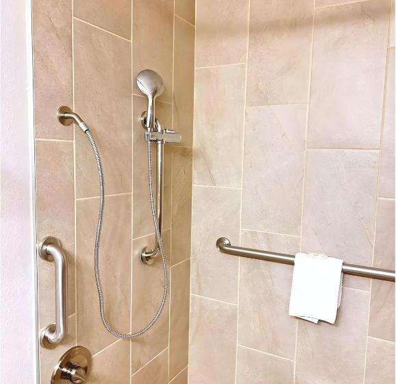 身障者適用スタンダードルーム, Quality Inn Fort Worth Downtown East