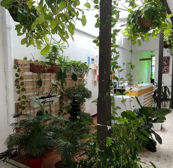 StandaardKamer, Casa Blanca San Antonio Hostal Boutique