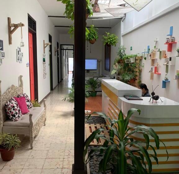 StandaardKamer, Casa Blanca San Antonio Hostal Boutique