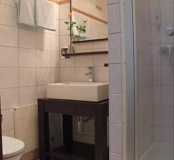 スタンダードシングルルーム, Apartment Das Au  Gut