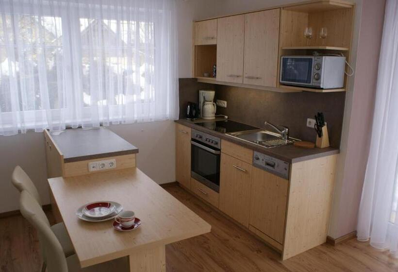 Апартаменты 1 Спальня Нижний Этаж, Apartment Das Au  Gut