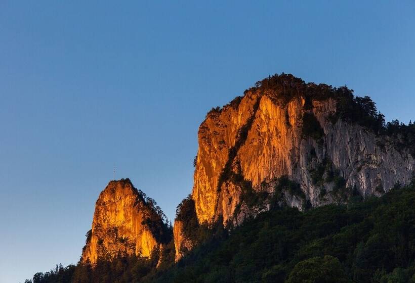 غرفة سوبيريور, Apartment Das Au  Gut