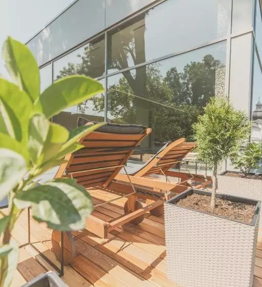 اتاق سوپریور با تخت بزرگ, Chateau Appony
