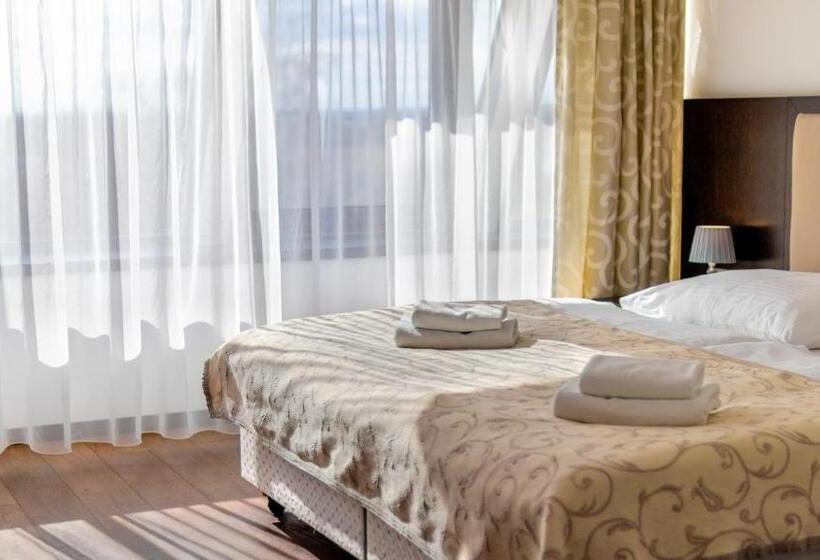 اتاق سوپریور با تخت بزرگ, Chateau Appony