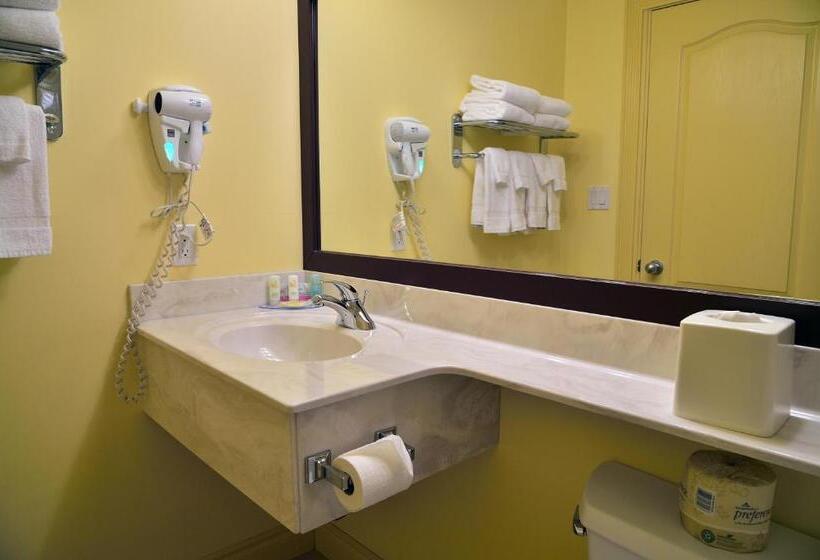 غرفه قياسيه سريرين مزدوجين, Velora Hinton, Ascend Hotel Collection