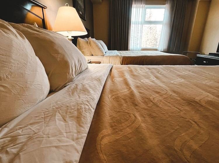 غرفه قياسيه سريرين مزدوجين, Velora Hinton, Ascend Hotel Collection