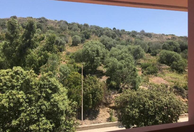 스탠다드 트리플 발코니 룸, Quasar