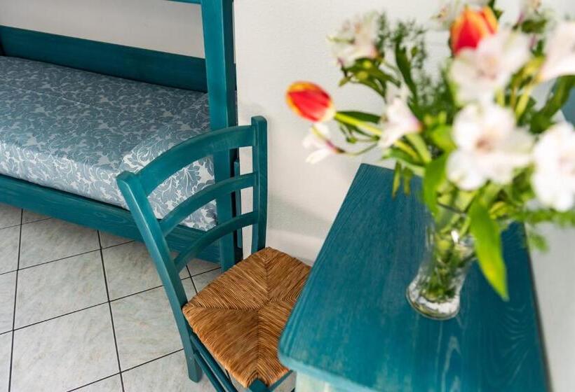 패밀리 룸, Quasar