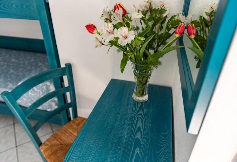 패밀리 룸, Quasar