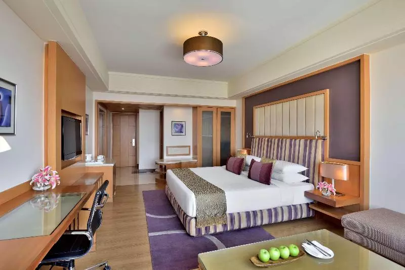 デラックスルーム, Radisson Blu Hotel, Indore