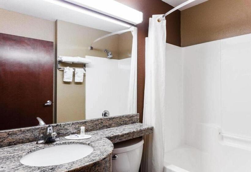 Номер Стандарт, Microtel Inn & Suites By Wyndham Macon