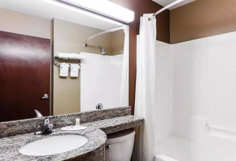 キングサイズベッドのスイートルーム, Microtel Inn & Suites By Wyndham Macon