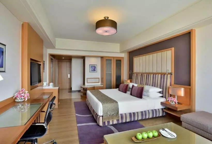 スーペリアールーム, Radisson Blu Hotel, Indore