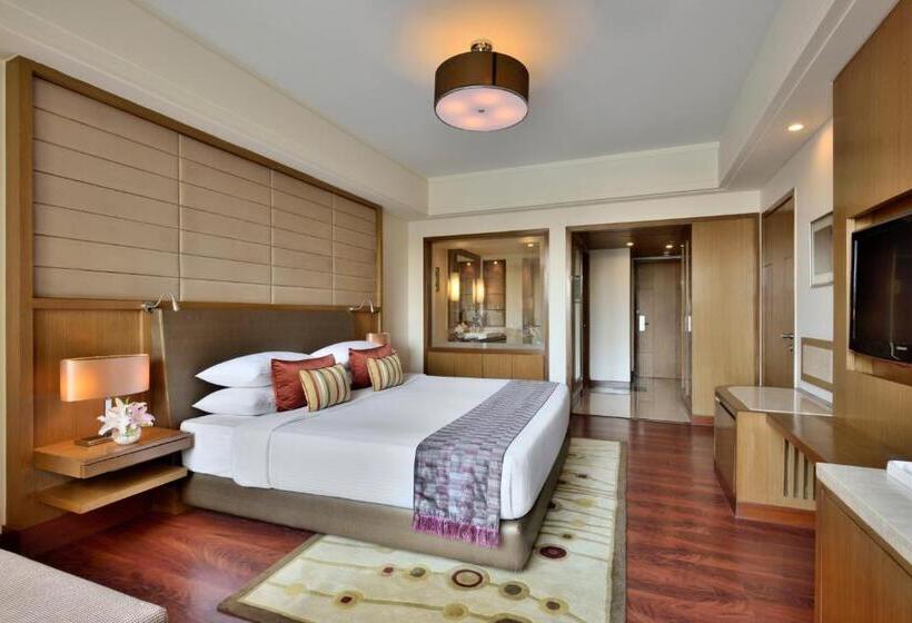 ビジネスルーム, Radisson Blu Hotel, Indore