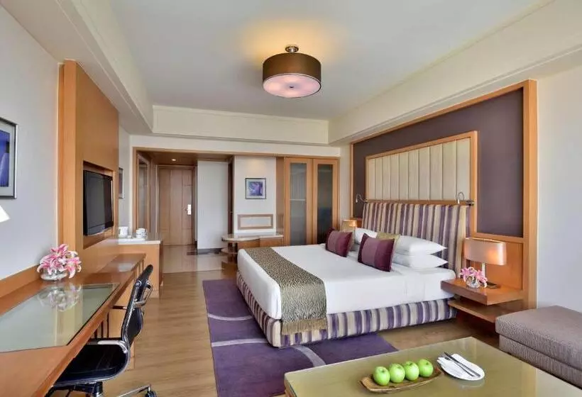 デラックスルーム, Radisson Blu Hotel, Indore