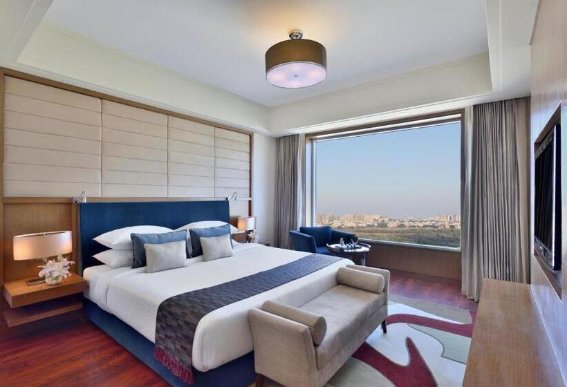 套房, Radisson Blu Hotel, Indore