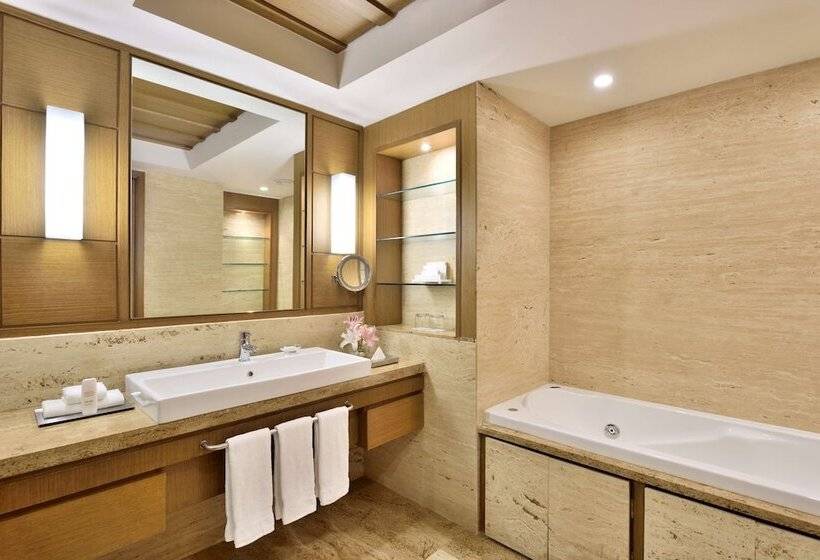 ビジネスルーム, Radisson Blu Hotel, Indore