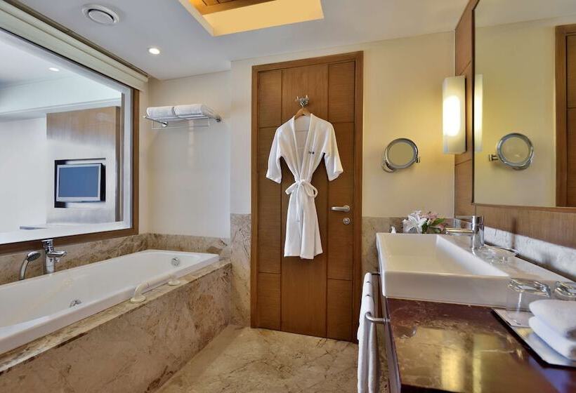 商务房间, Radisson Blu Hotel, Indore