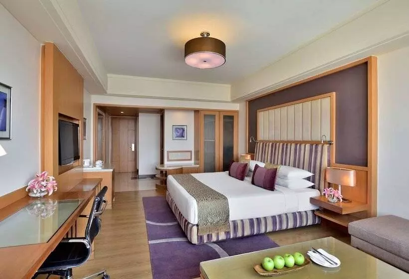 デラックスルーム, Radisson Blu Hotel, Indore