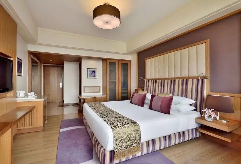デラックスルーム, Radisson Blu Hotel, Indore