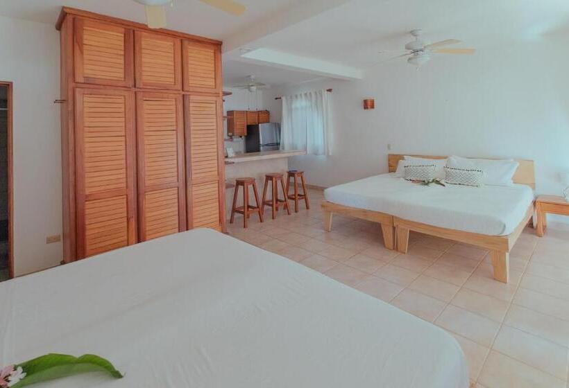 스탠다드 스튜디오 바다 전망, Casas Kismet