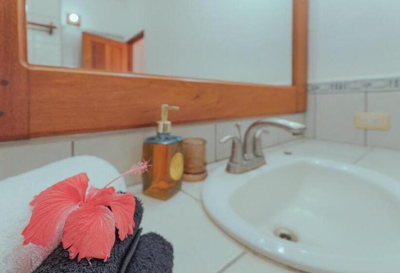 스탠다드 스튜디오 바다 전망, Casas Kismet