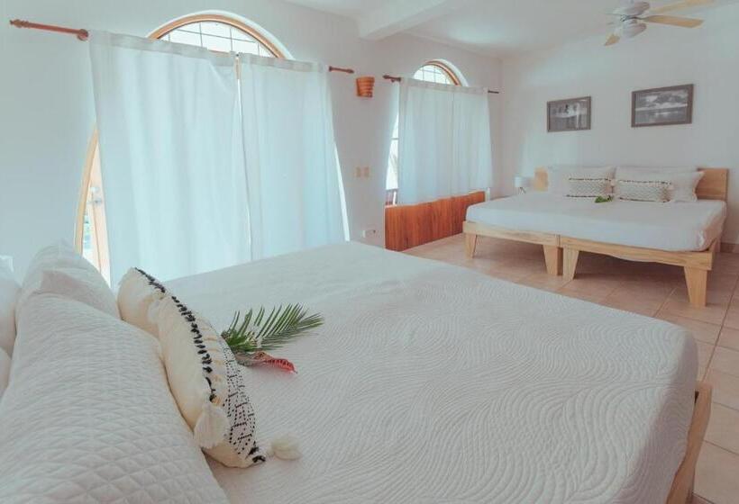 스탠다드 스튜디오 바다 전망, Casas Kismet