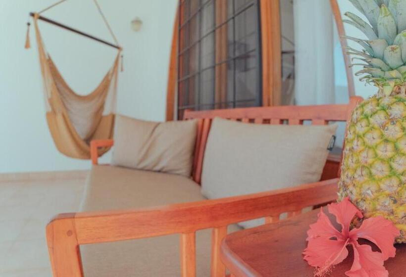 스탠다드 스튜디오 바다 전망, Casas Kismet